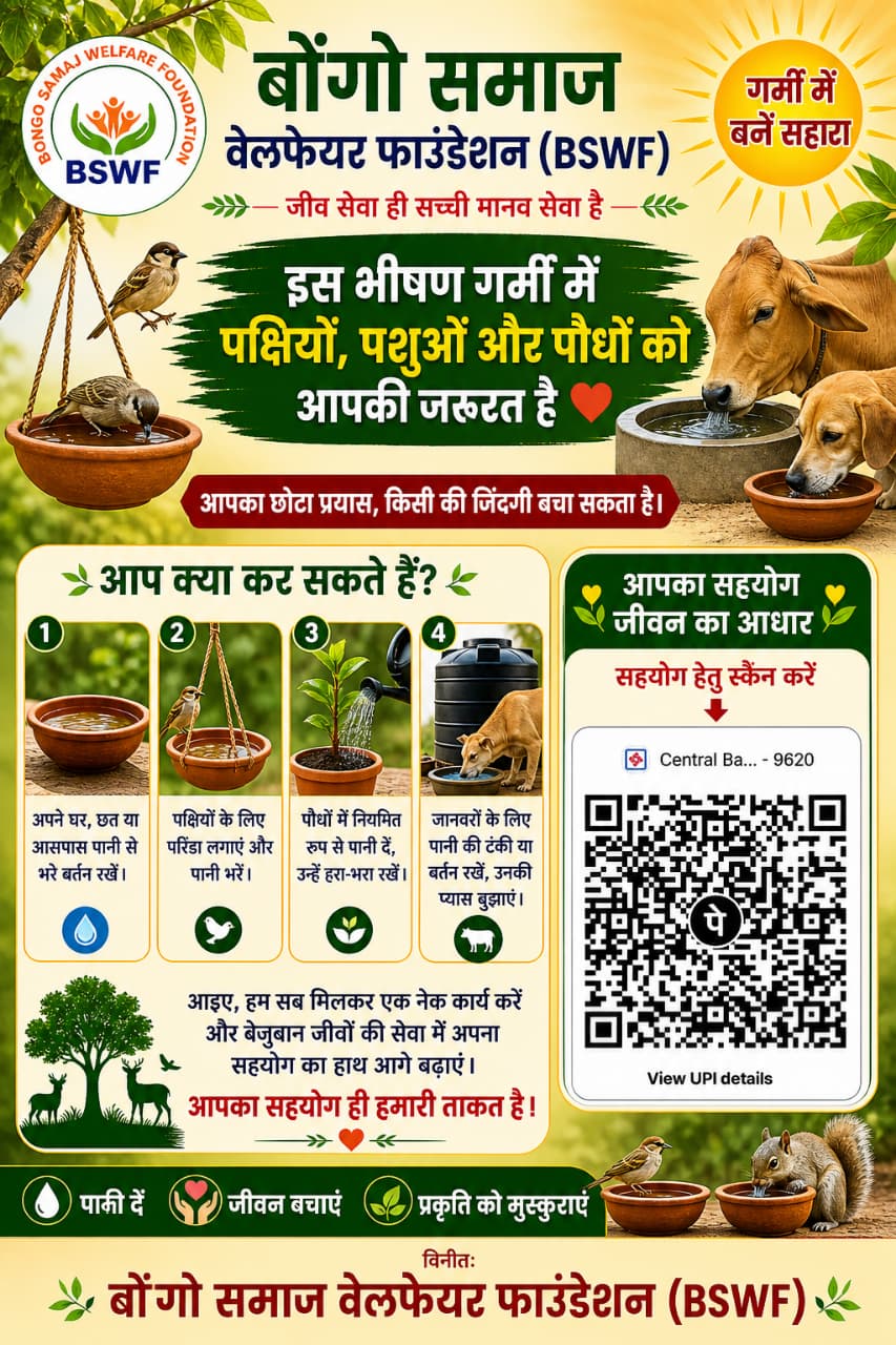 इस भीषण गर्मी में पक्षियों ,पशुयो और पौधो को आपकी जरुरत हैं